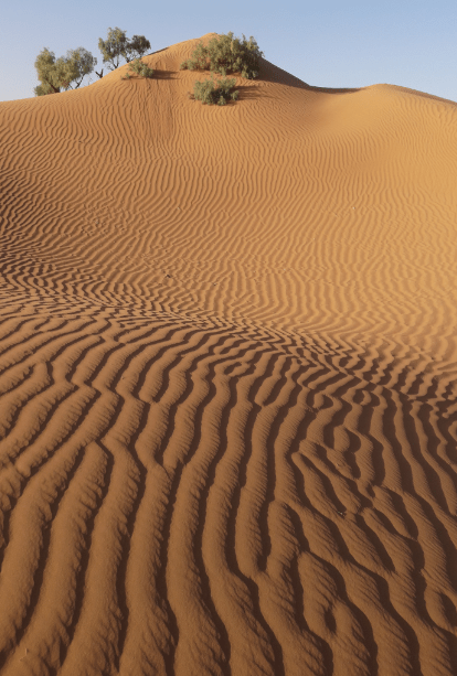 Photo désert marie 19